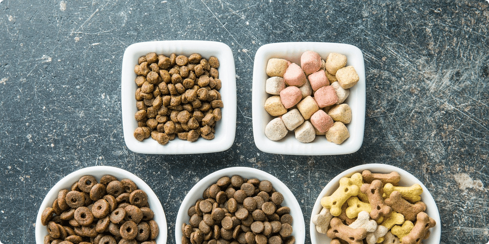 Comparatif des meilleurs distributeurs de croquettes