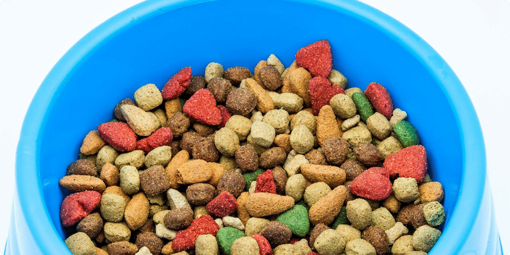 Pourquoi utiliser un distributeur de croquettes pour chien ?