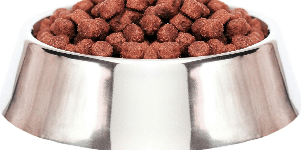 Pourquoi choisir un distributeur de croquettes pour chien ?