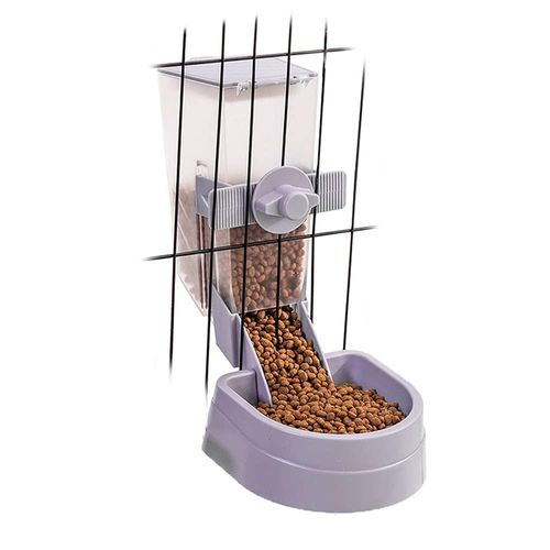 meilleur distributeur automatique de croquette pour cochon dinde