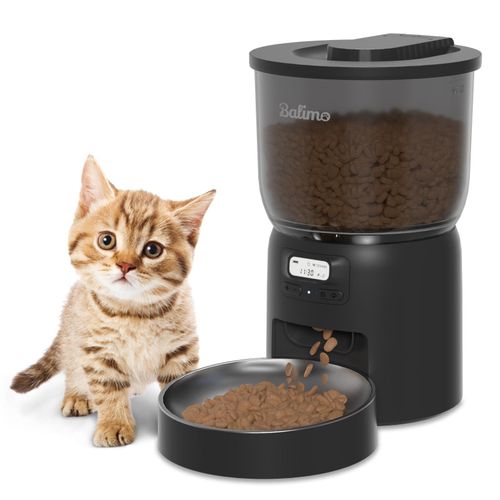 meilleur distributeur de croquettes pour chat