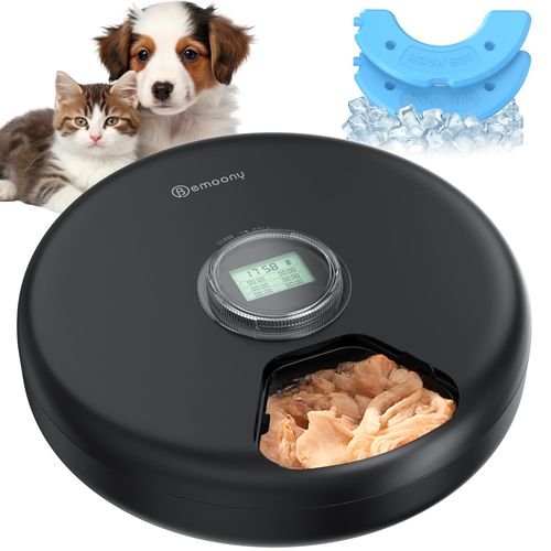 top distributeur de croquettes pour chien